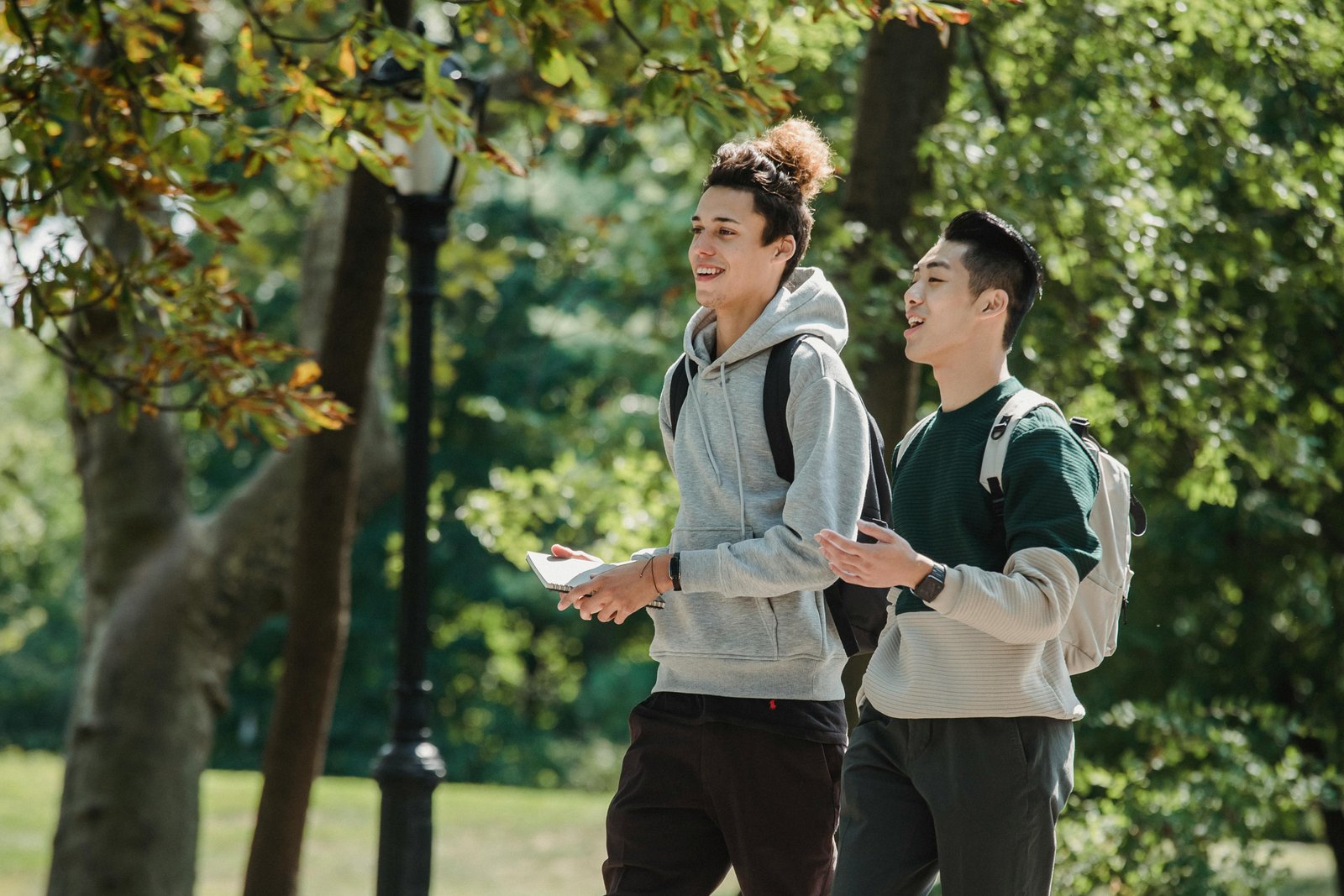 Healthy boys walking and talking in park